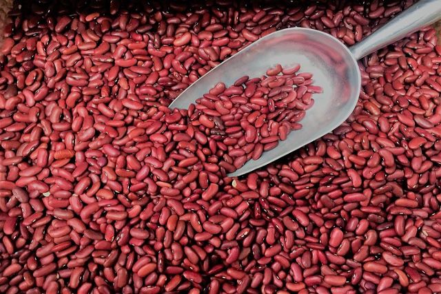 Cleanse the kidney - kidney beans