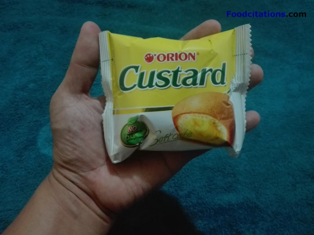 Orion_Custard_Cake4